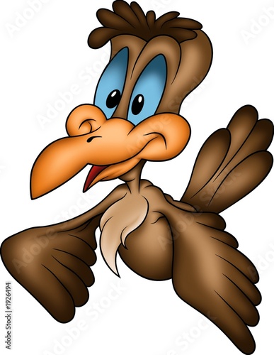 cuckoo brown
