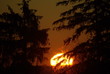 morgenstimmung