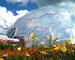 eden project