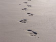 spuren im sand von tobago
