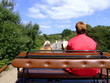 Foto: kutschfahrt kutschfahrt