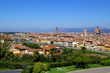 florence' city florence' city