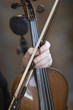 violin
