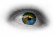 welt im auge welt im auge
