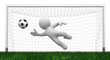 goal?
