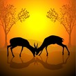 antelope silhouette a