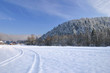 winter road