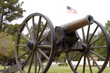cannon