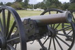 cannon
