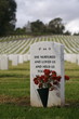 flowers on a soldiers grave