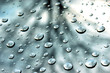 tree bubbles