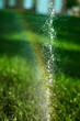 rainbow in the sprinkler