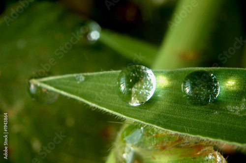Photo: sunlight on droplets sunlight on droplets