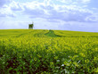 chesterton windmill