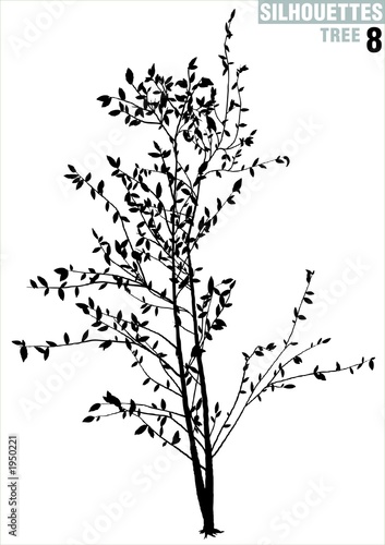 Illustration: tree silhouette 08 tree silhouette 08