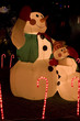 christmas lights and decoration