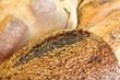 fresh loaves of bread