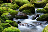 mossy river rocks - Fine Art prints
