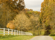 Photo: down the road down the road