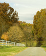 Photo: fall fall