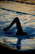 Photos : silhouetted swimmer 3