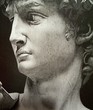  david's statue -1