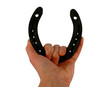 horseshoe for luck