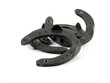lucky horseshoes