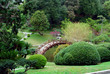 japanese garden