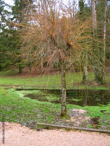 parc parc