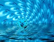 blue water and hours