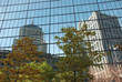 reflet