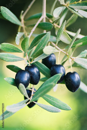 olives