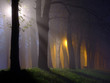 dawn and raylights