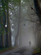 senior walking in nature