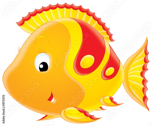 Illustration: coral fish coral fish