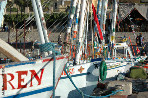 felucca's port
