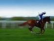 Photographie : race horse