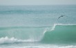 perfect wave