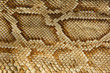 myanmar, mandalay: handicraft, snake skin