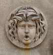 medusa head