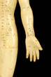 acupuncture points