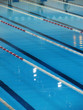 50 meters to victory