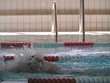 training in pool 1 training in pool 1