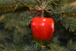 Photo: christmas tree ornament apple christmas tree ornament apple