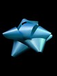 blue ribbon/bow