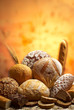 group of different bread products photographed wit