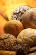 group of different bread products photographed wit