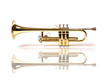 trumpet - trompette - trompete