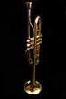 trumpet - trompete - trompette
